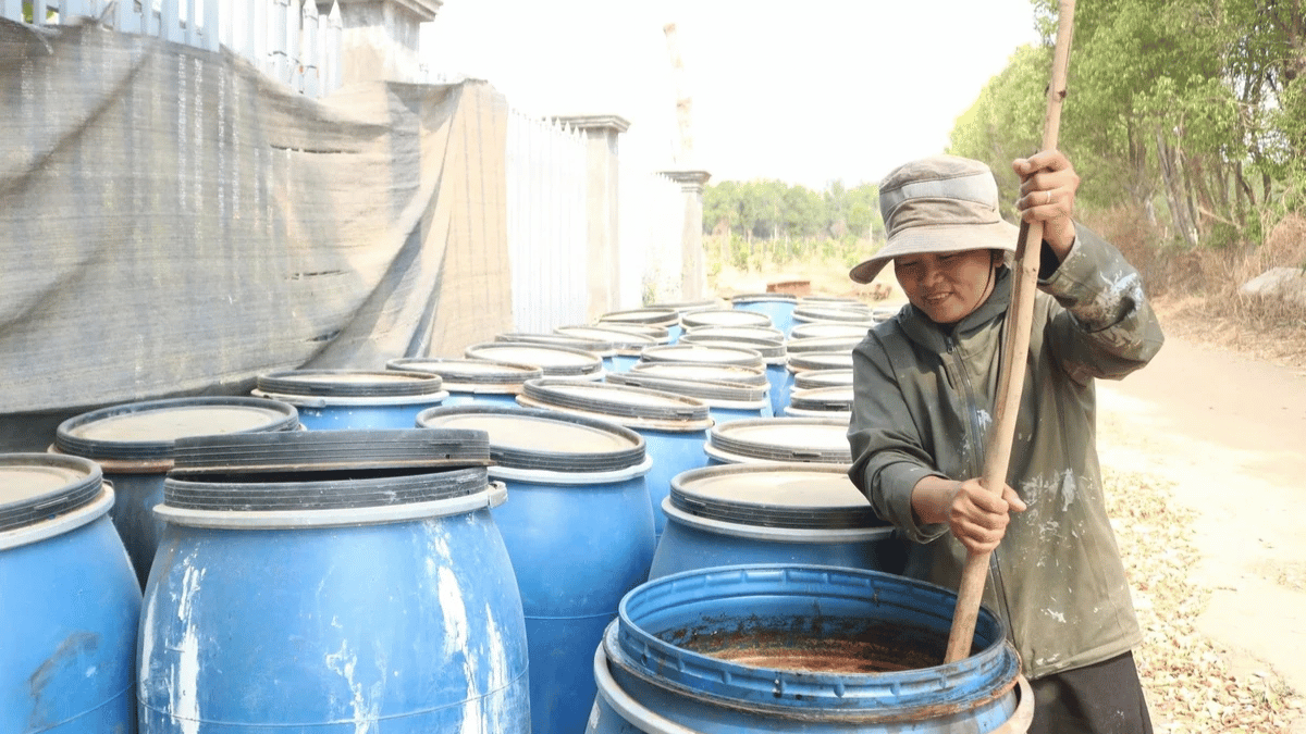 ảnh đại diện Web (26)