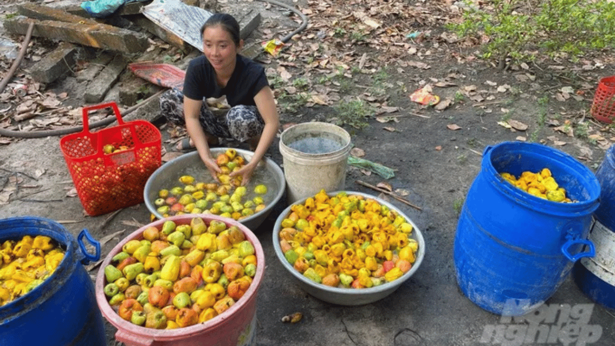 ảnh đại diện Web (27)