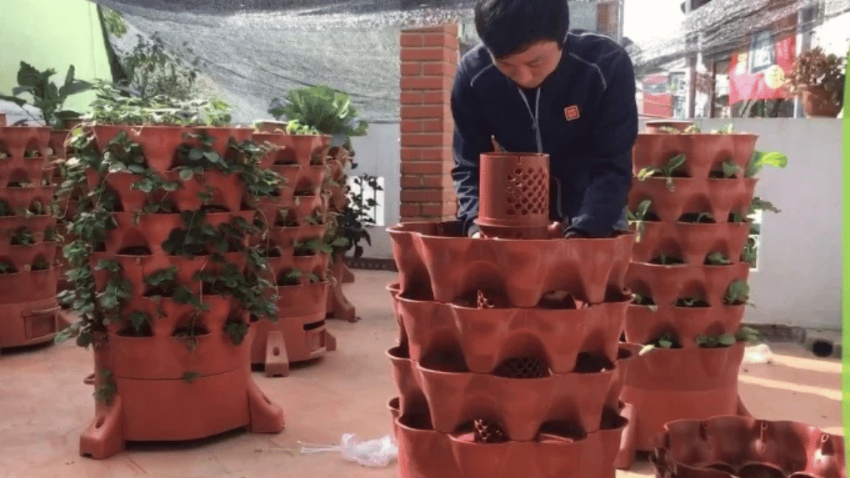 ảnh đại diện Web (36)