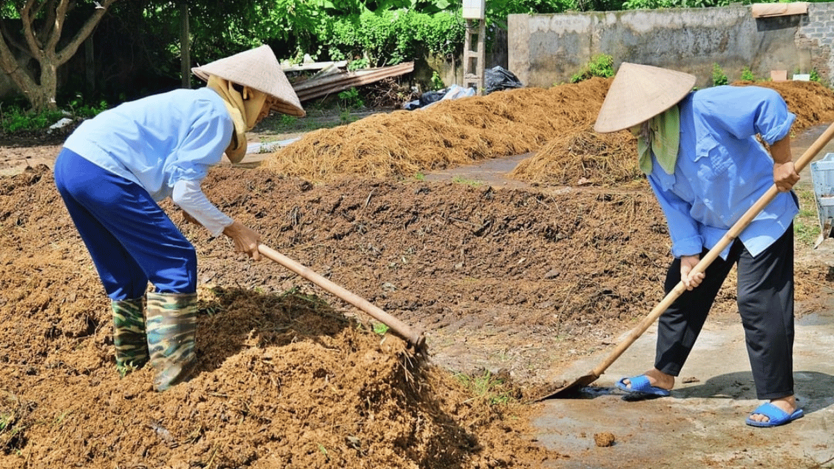 ảnh đại diện Web (37)