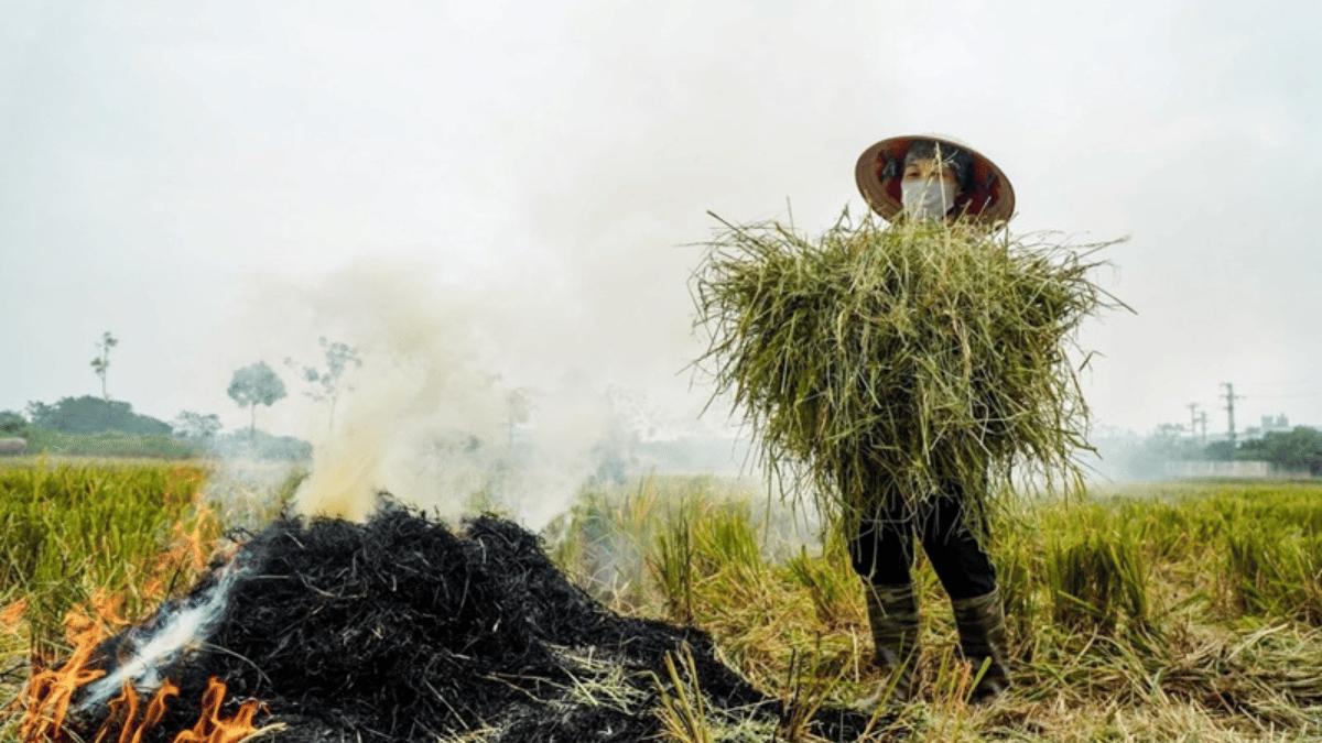 ảnh đại diện Web (45)