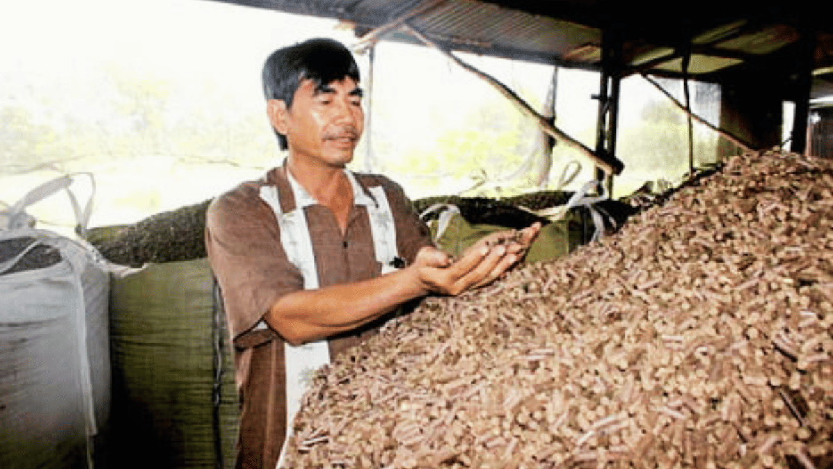 ảnh đại diện Web (46)