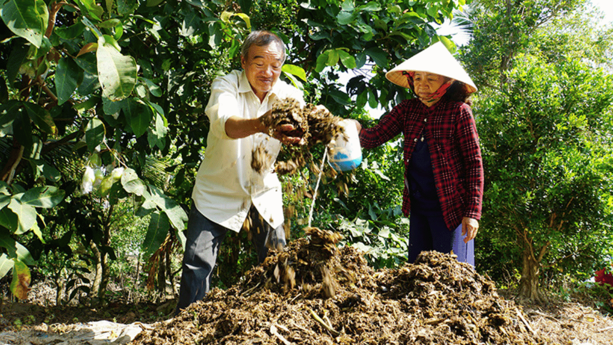 ảnh đại diện web (50)
