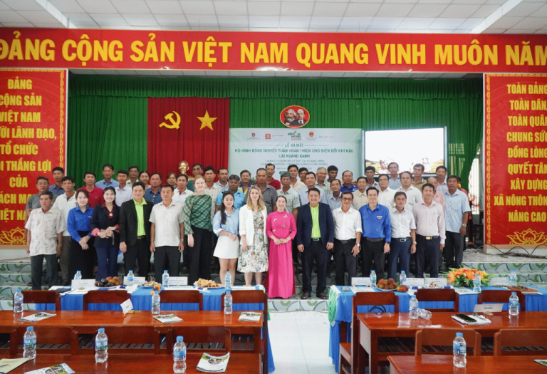 Link ảnh đại diện web-2