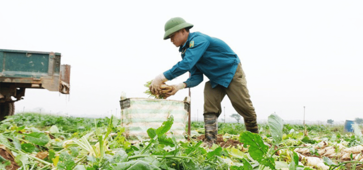 ảnh đại diện Web - 2026-04-01T151548.630