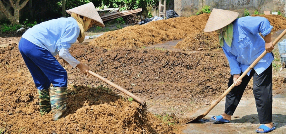 ảnh đại diện Web (37)