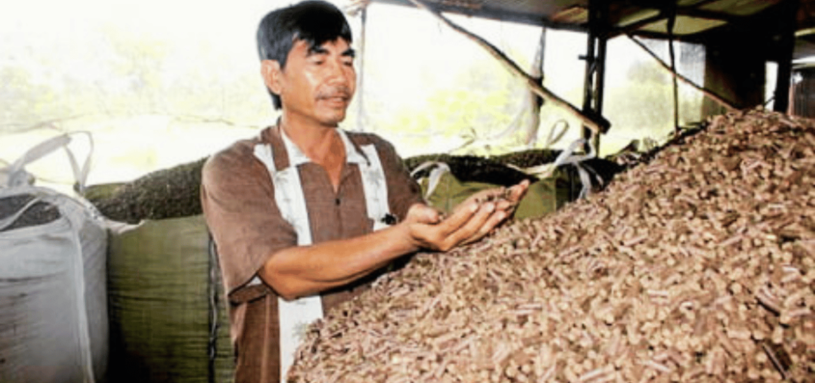 ảnh đại diện Web (46)
