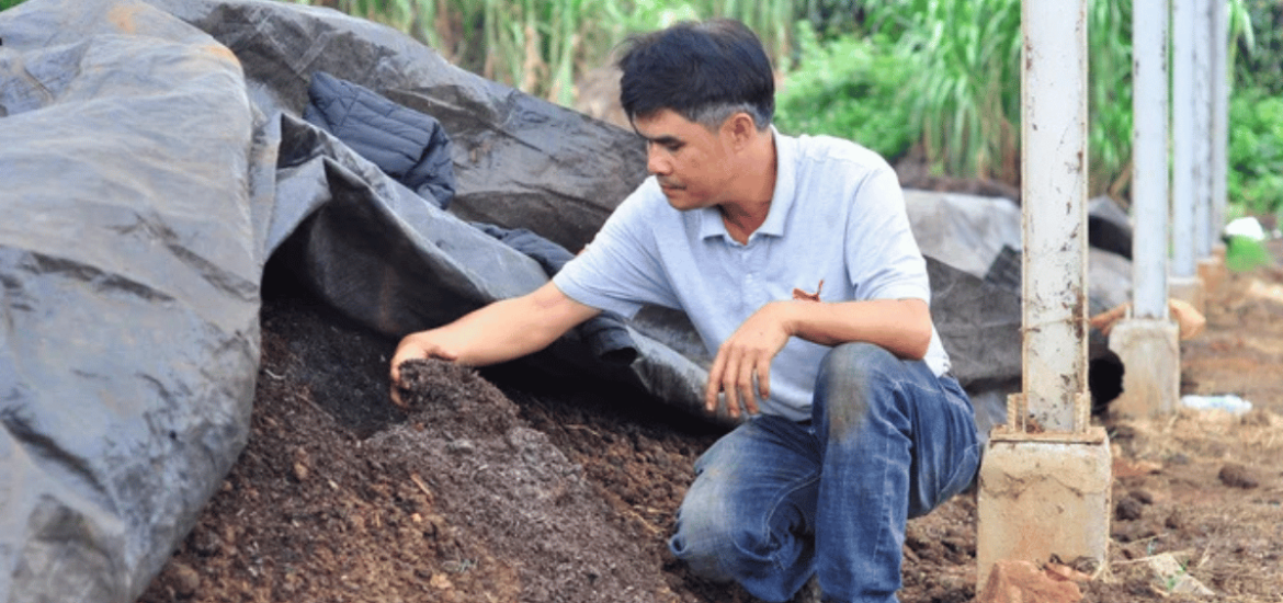 ảnh đại diện Web (51)