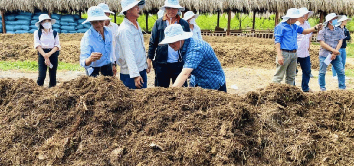ảnh đại diện Web (59)