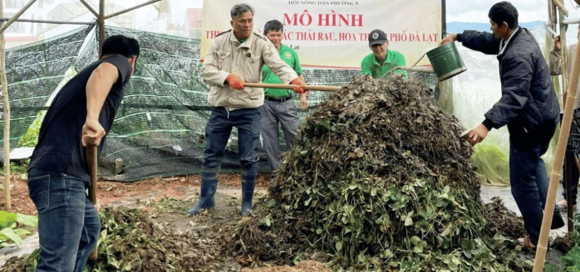 ảnh đại diện Web (87)
