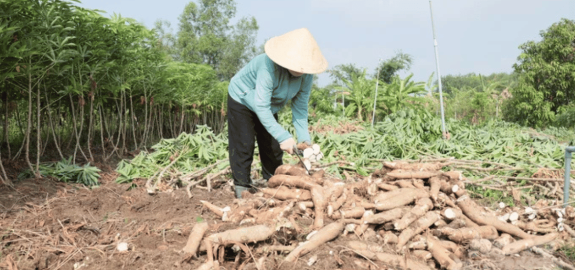 ảnh đại diện web (20)