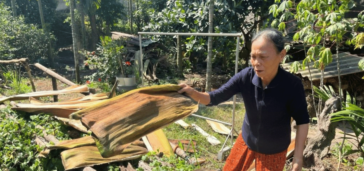 ảnh đại diện web (38)