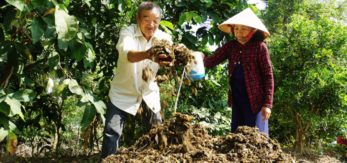 ảnh đại diện web (50)